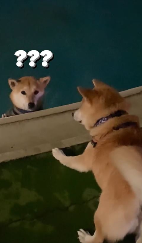 ハテナマークテロップ