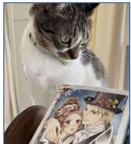 猫と漫画作品