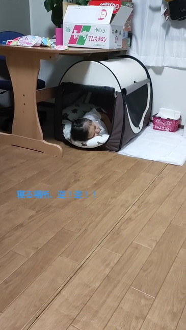 ケージで寝ている女の子遠くからの画像