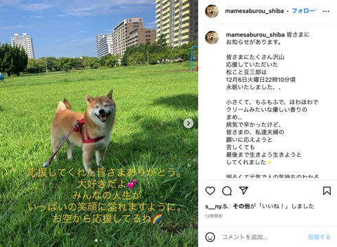 「ナンバMG5」「やんごとなき一族」「駐在刑事」豆三郎くん逝去