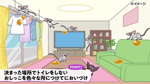 ショウガラゴテロップ