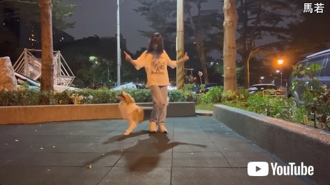 後ろ歩きする犬