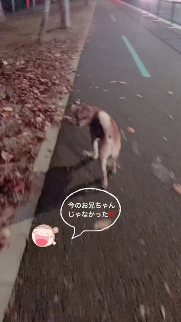 お兄ちゃんじゃなかった？