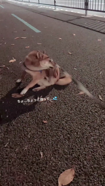 ちょっと待って