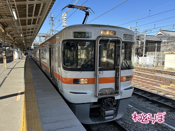 身延線に使われているJR東海313系3000番台。そして車窓がのどかでのんびり