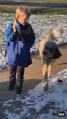 「Dog Hugs Boy When He Gets Home || ViralHog」