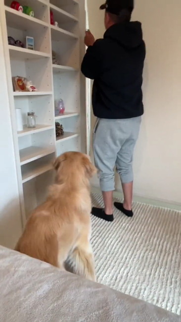 ゴールデン