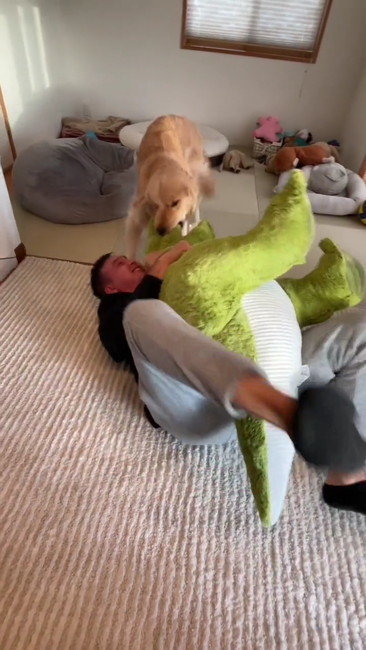 かみつくゴールデン