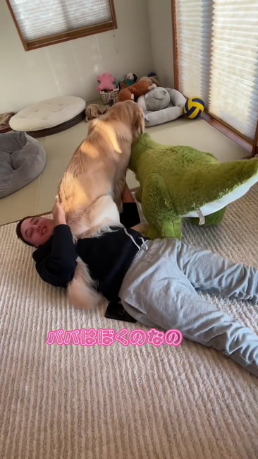 のっかるゴールデン