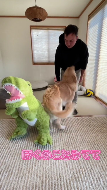 ぼくのこと見てて