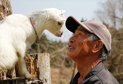 ヤギと過ごす古民家