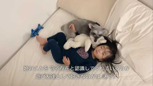 娘より年上のワンコ