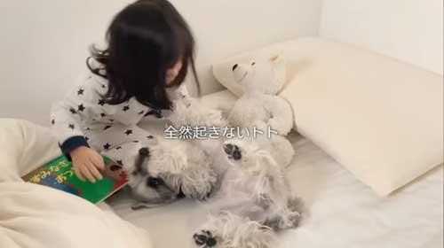 起こすうにちゃん