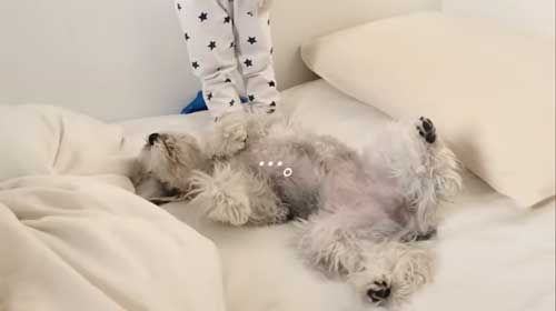 ふたりのやりとり