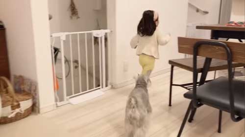 うにちゃんの後をついていくトト