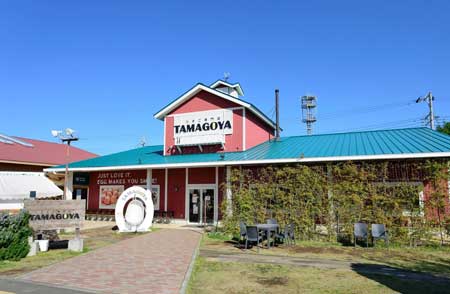 たまご専門店 TAMAGOYA デラックスいちごモンブランパフェ STRAWBERRY FAIR