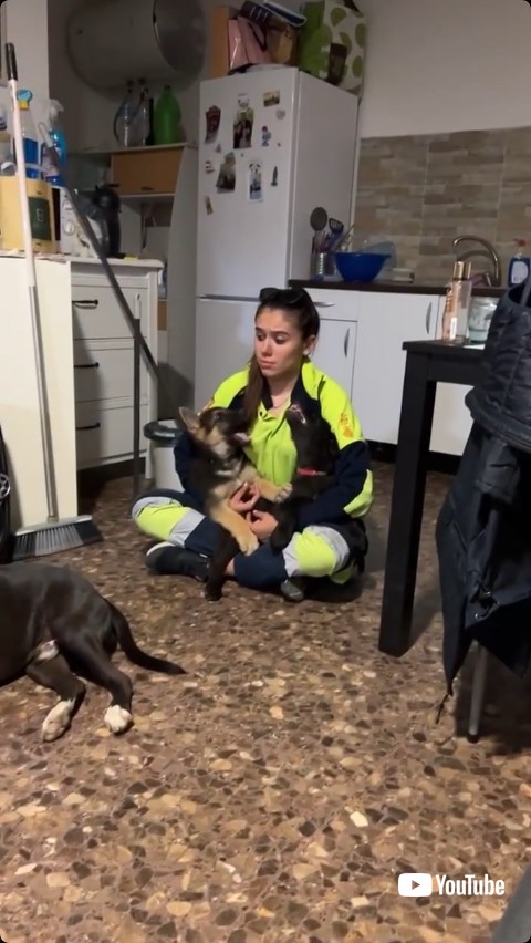 膝の上に乗る2匹の犬