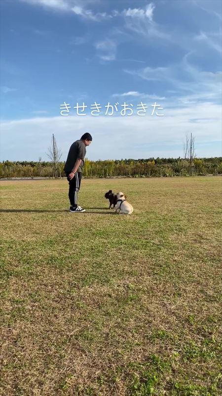 立ちつくすパパさん