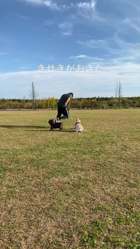 走り去るパパさん