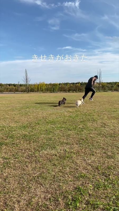 走りだすパパさん