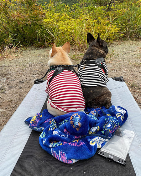 オセロブラザーズの背中