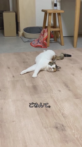 ツチノコ心福ちゃん