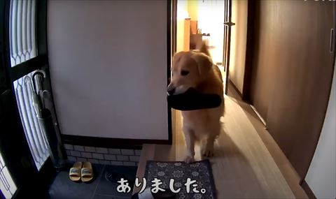 ありましたテロップ