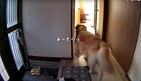 あーもうテロップ