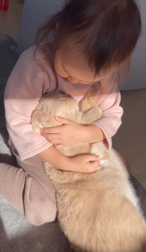 猫の顔をのぞきこんでる女の子