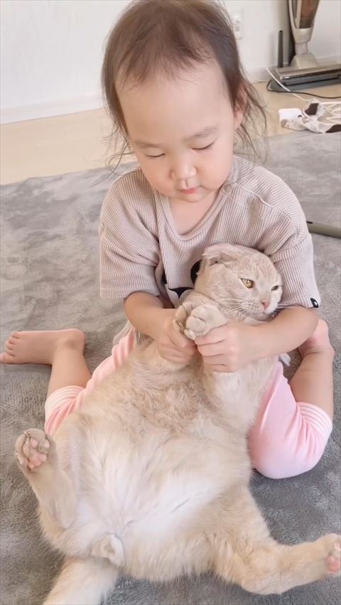猫の前足をもつ女の子