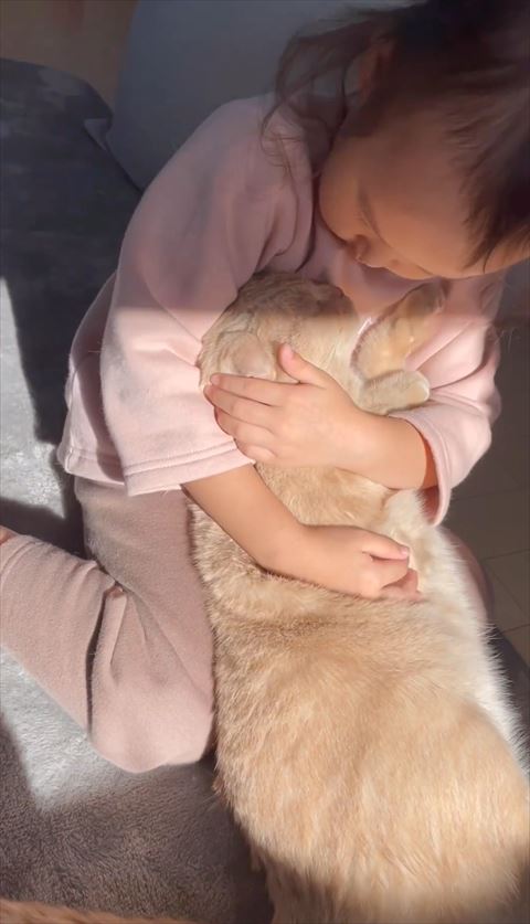 後方に揺れる女の子