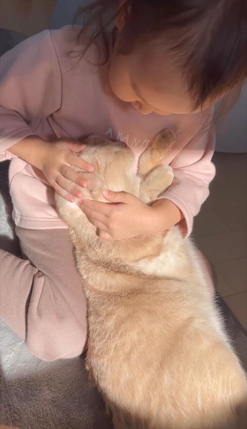 猫ちゃんの頭をなでる女の子