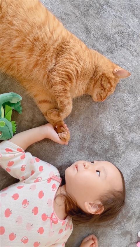 猫と手をつなぐ女の子