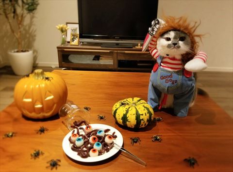 チャッキーの衣装