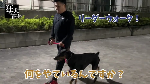 リーダーウォーク