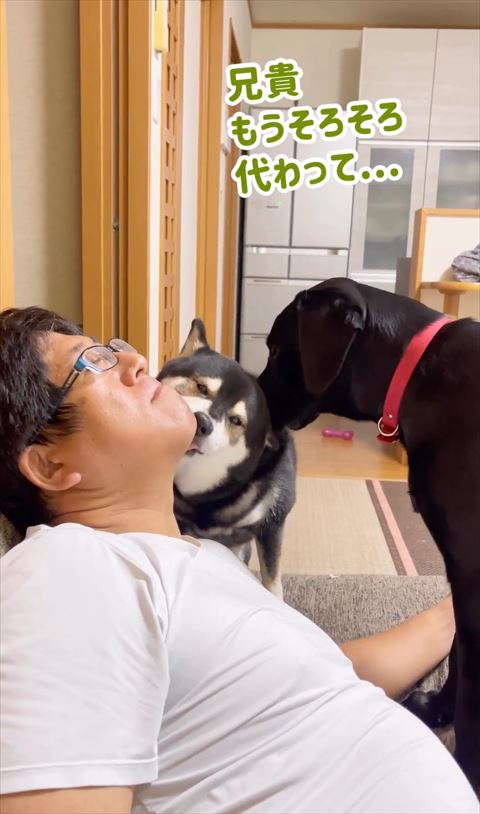 兄貴そろそろ変わってテロップ