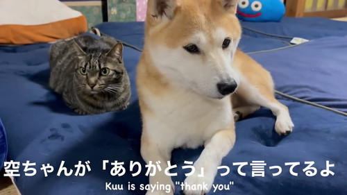 空がありがとう