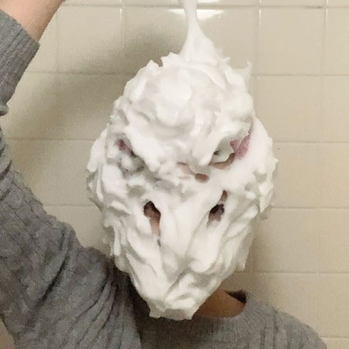 画像内テキスト