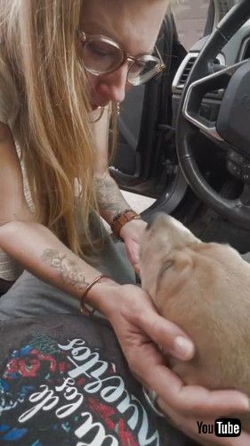 「Woman Reacts to Husband Surprising Her With New Puppy - 1371511」