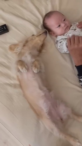 ねむたんと赤ちゃん