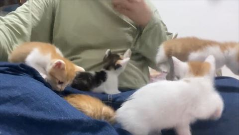 奥の子裾で遊んでる