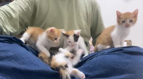 右の子カメラ目線