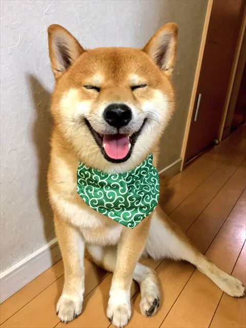 首にバンダナ笑顔