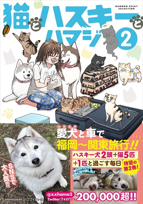 猫とハスキーとハマジ