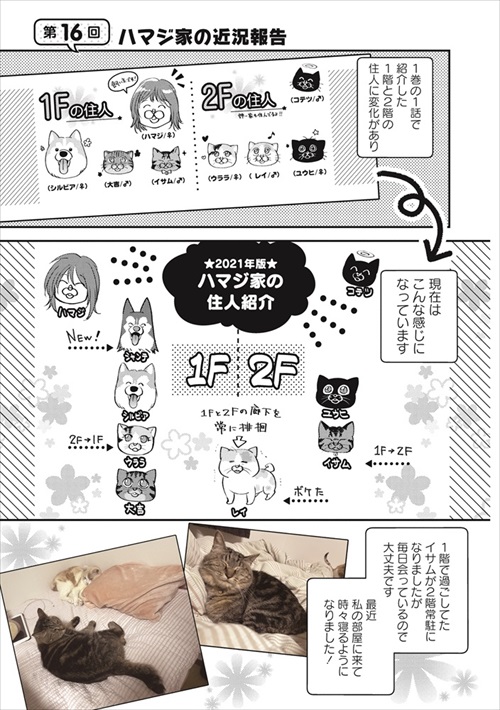 猫とハスキーとハマジ試し読み