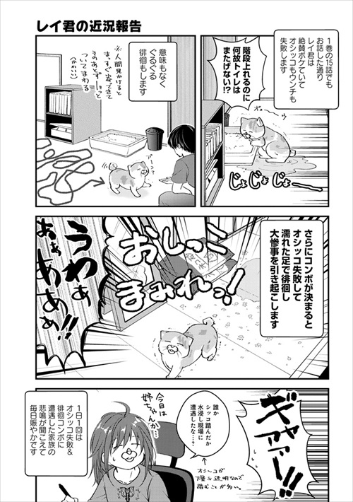 徘徊が激しくなった猫の漫画