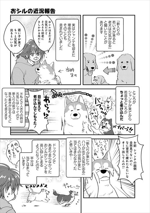 ハスキー2頭についての漫画