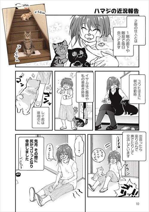 犬猫たちと会う飼い主