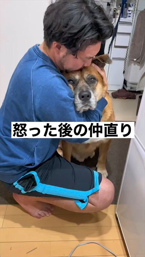 怒ったあとの仲直りテロップ