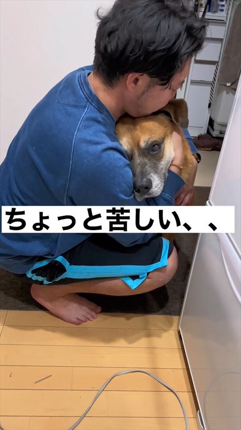 ちょっと苦しいテロップ